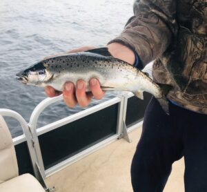 Fishing in Maine 15
